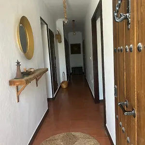 Pino Punta Umbría