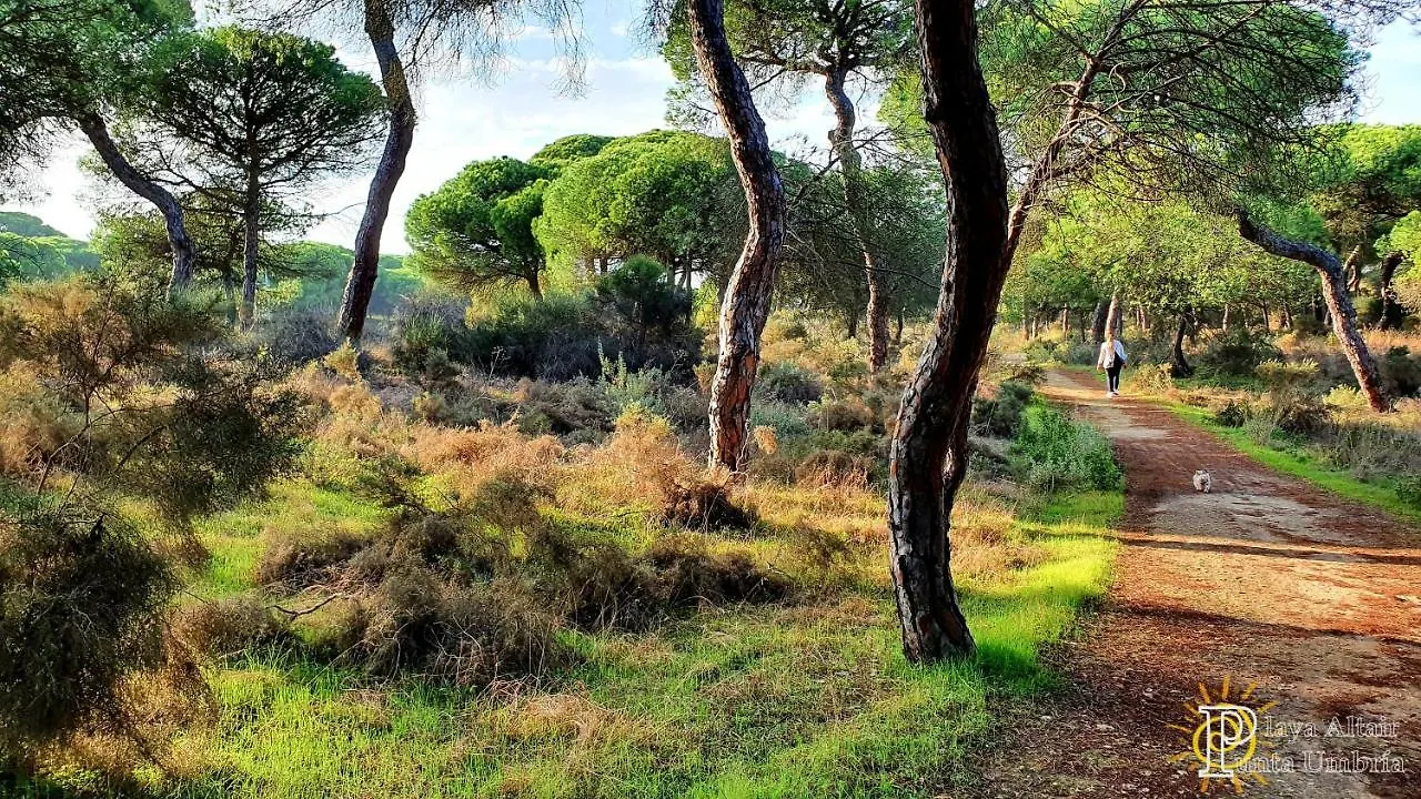 Vivienda Turistica Playa Altair Punta Umbria Lejlighed 0*,