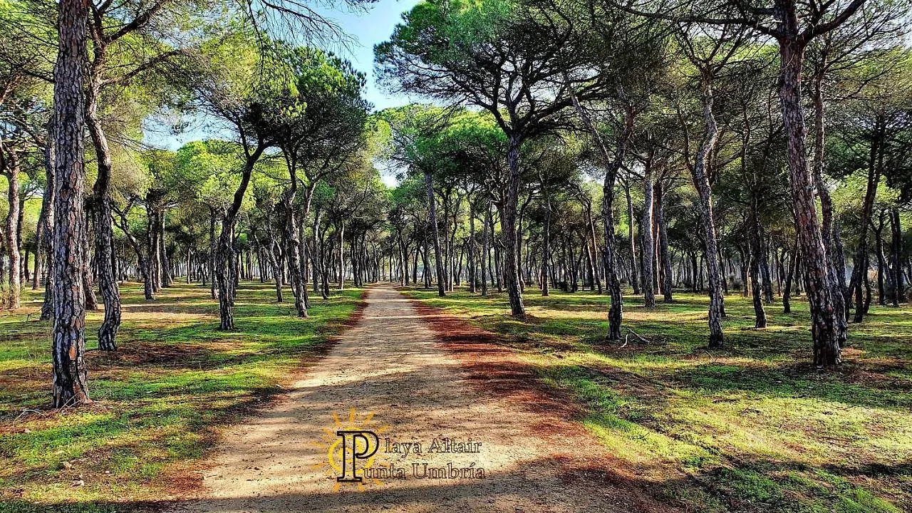 Vivienda Turistica Playa Altair Punta Umbria Lejlighed Spanien